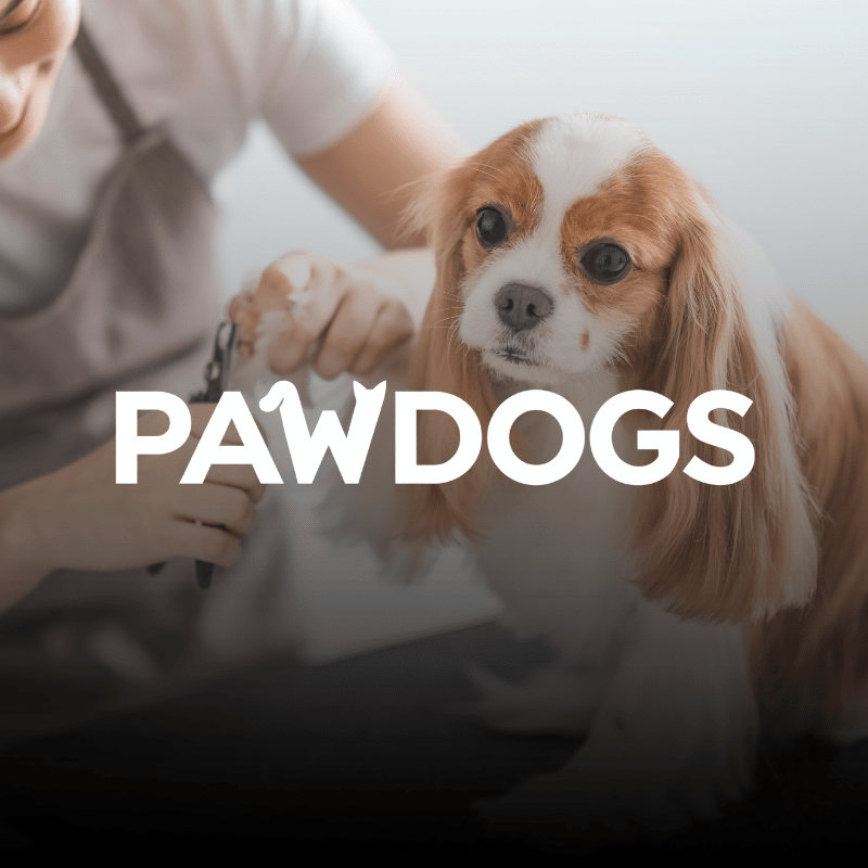PawDogs - peluquería canina en Santiago de Chile